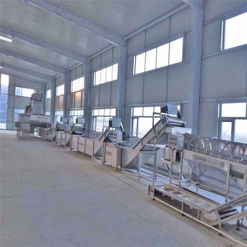 食品机械设备厂 实力雄厚，专业可靠